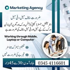 Male & Female staff is required for office & online working