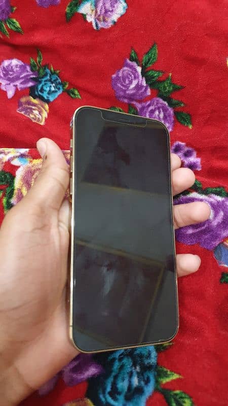 iphone 12 pro for selling 5