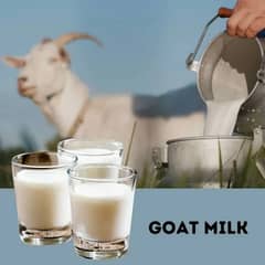 Pure goat milk