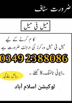 All Males And Females Apply Office Staff Required Job Vancy