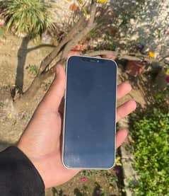 Iphone 12 64 GB