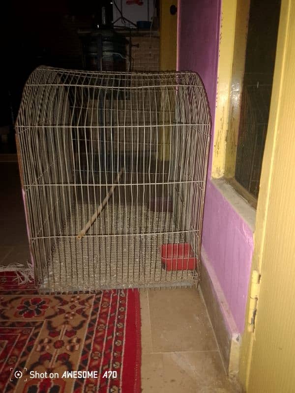 Birds Cage 0