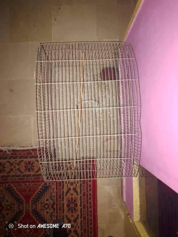 Birds Cage 1