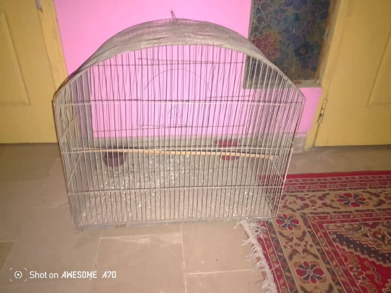 Birds Cage 2