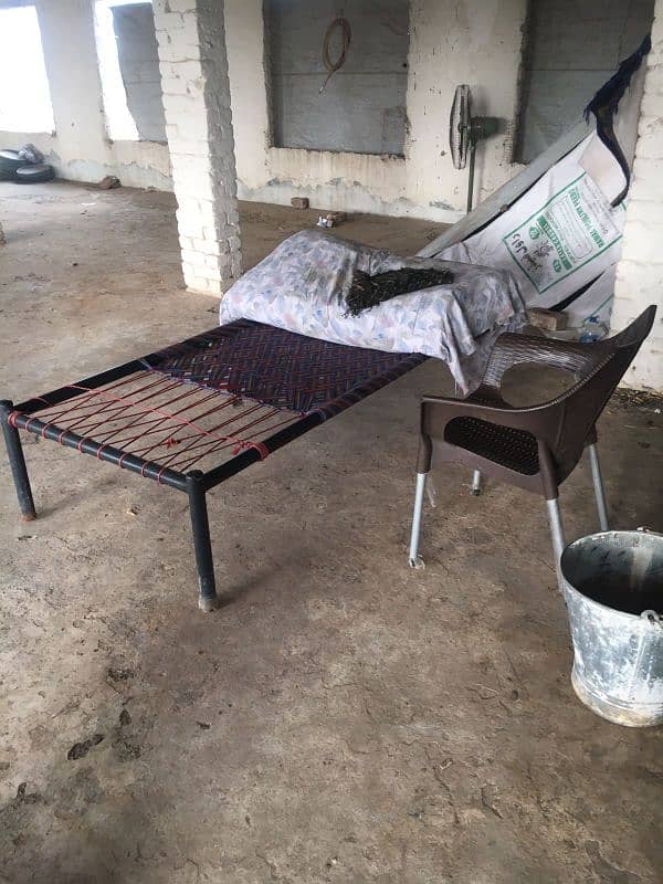 Poultry setup for sale 4