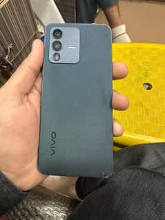 vivo