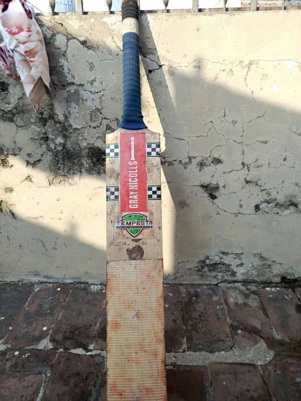 Kashmir willow bat 3