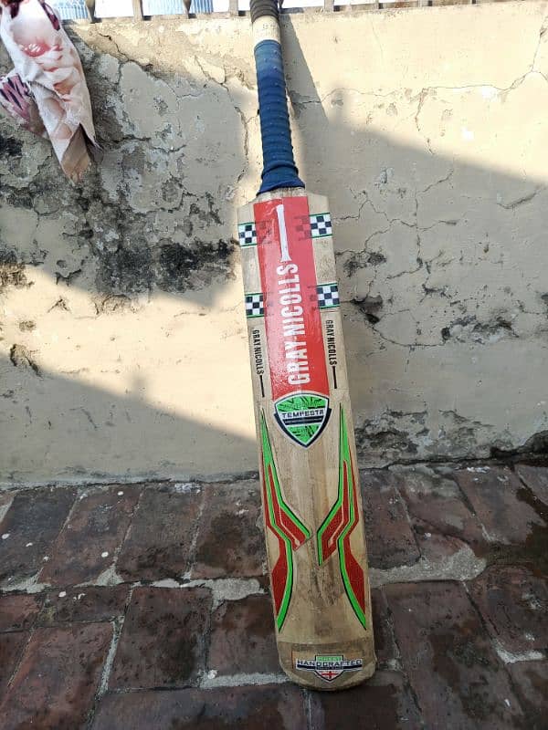 Kashmir willow bat 4