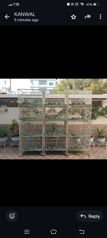 LOVE BIRDS CAGES 1