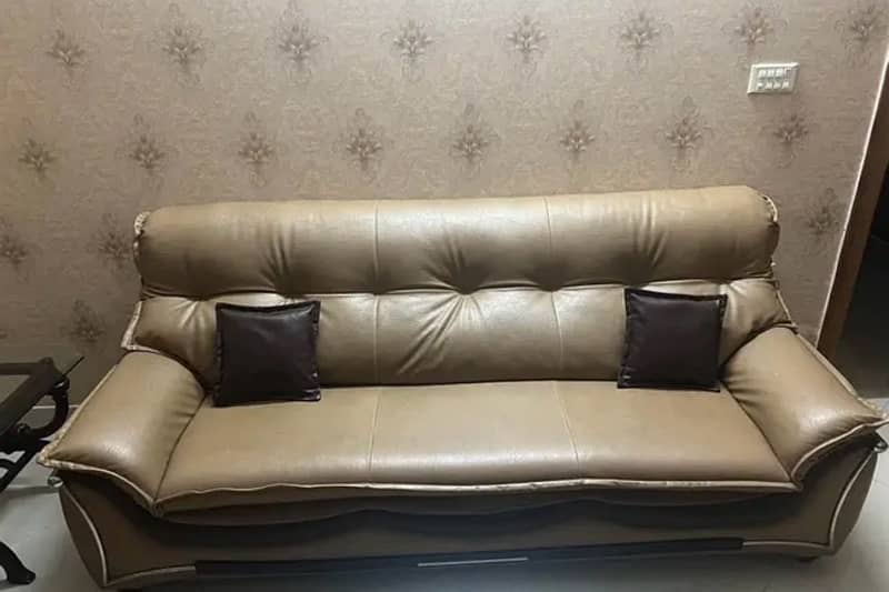 Leather Sofa Set With  Center Tables 2