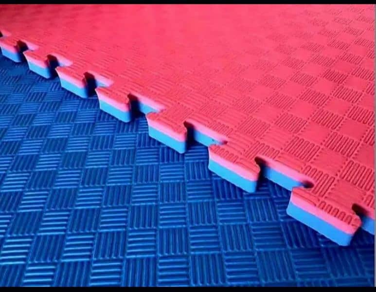 Taekwondo/Karate/Judo/Gymnastic Mats 0