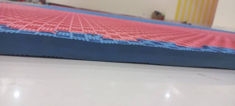 Taekwondo/Karate/Judo/Gymnastic Mats 4