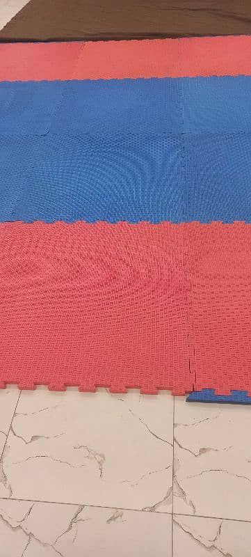 Taekwondo/Karate/Judo/Gymnastic Mats 5