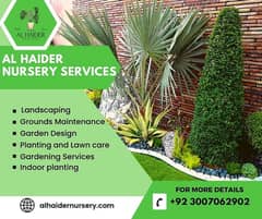 Al-Haider Nursery Indoor plansts Garden Decoration gardening metrail