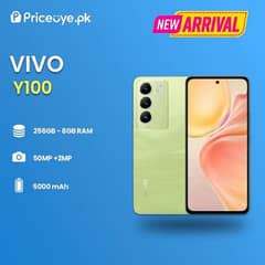 vivo y100  10/10 condition 8+256 box chrgr sath