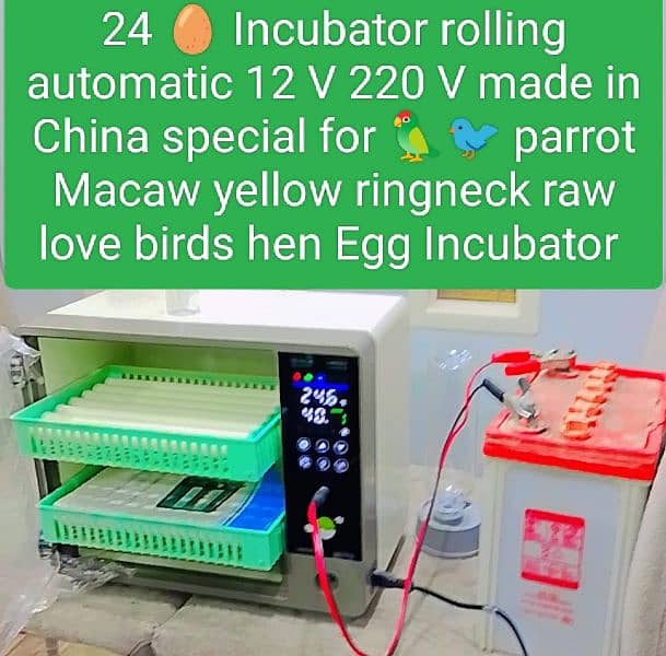 automatic Egg Incubator 10