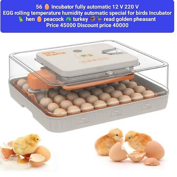 automatic Egg Incubator 11