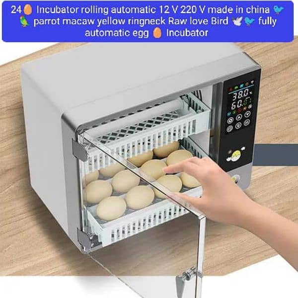 automatic Egg Incubator 13