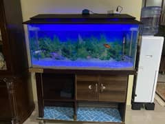 fish tank 4 feet