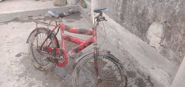 child cycle for sale