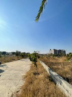 Commercial Plot For Sale Zamar Valley Islamabad