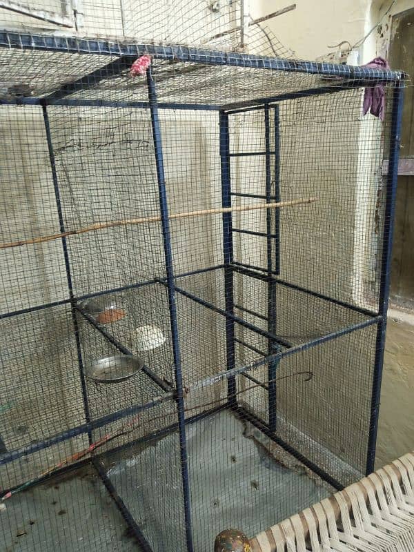 big size cage urgent sale location Rawalpindi 2