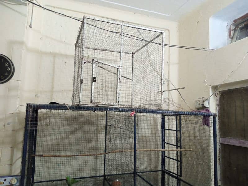 big size cage urgent sale location Rawalpindi 3