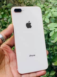 iPhone 8 plus PTA APPROVE