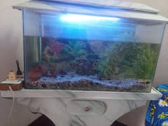 Aquariums good condition