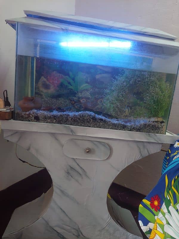 Aquariums good condition 1