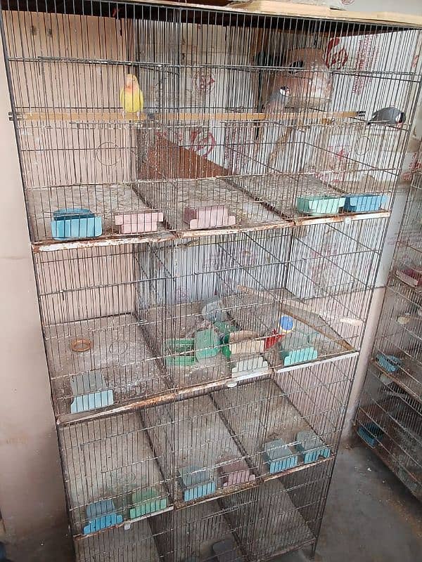 12 portion cage for sale 0