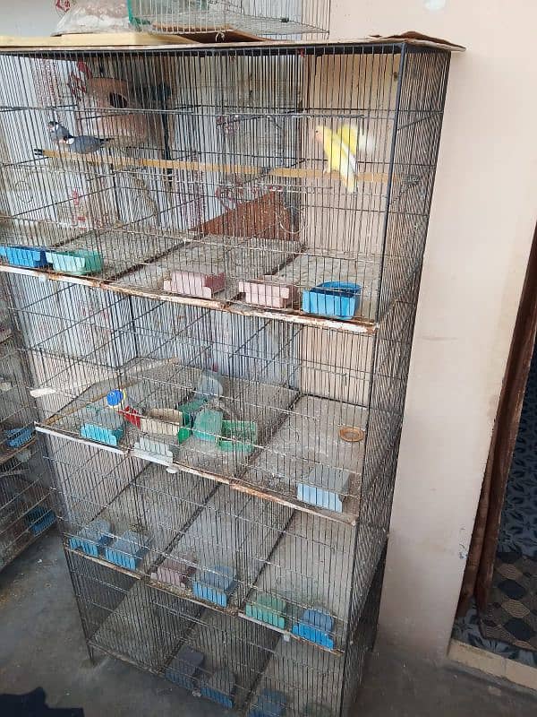 12 portion cage for sale 1