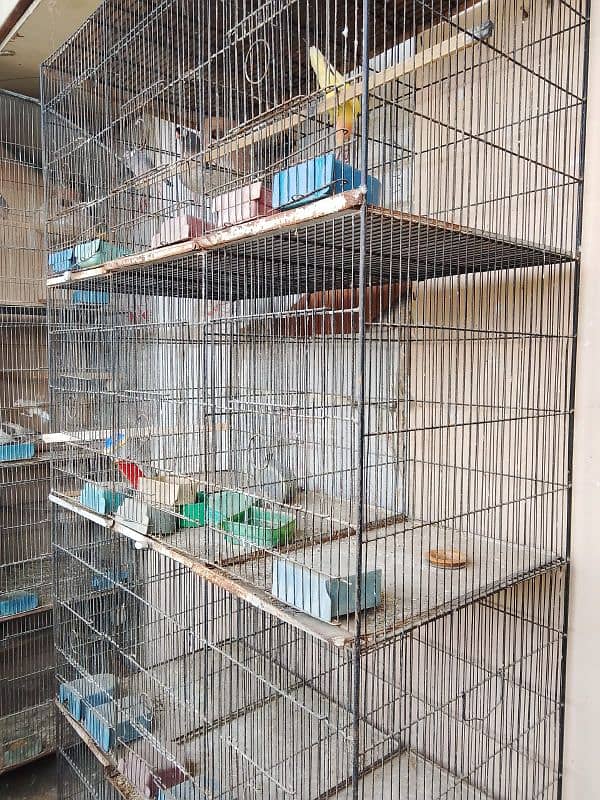 12 portion cage for sale 2