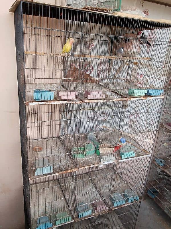 12 portion cage for sale 3