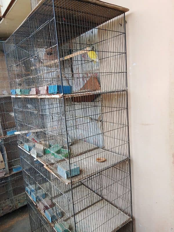 12 portion cage for sale 4