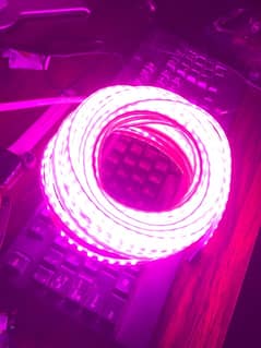 Led Strips light