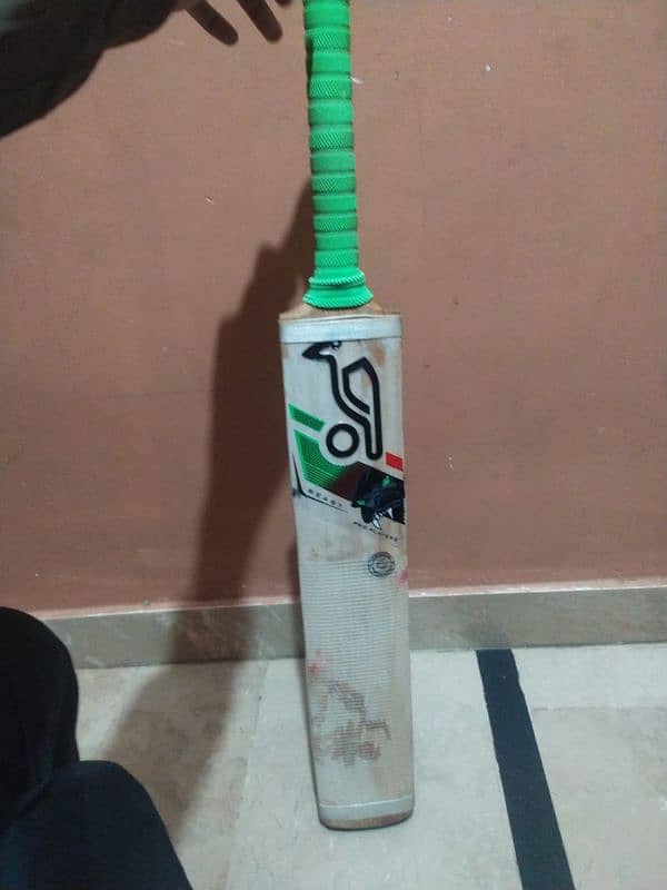 kookaburra  bat 1