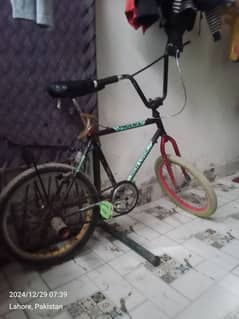 willing cycle for sale