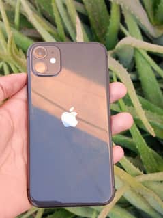 IPHONE 11 PTA APPROVED