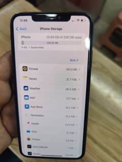 XS Max 256 GB