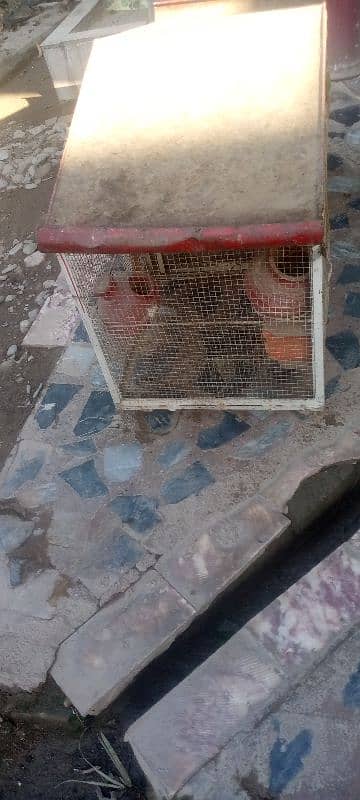 birds cage fully iron made heavy quality 5