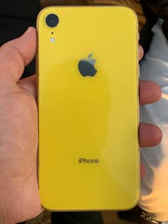 iphone xr jv 64gb  back and screen change gx face id ok true tune ok