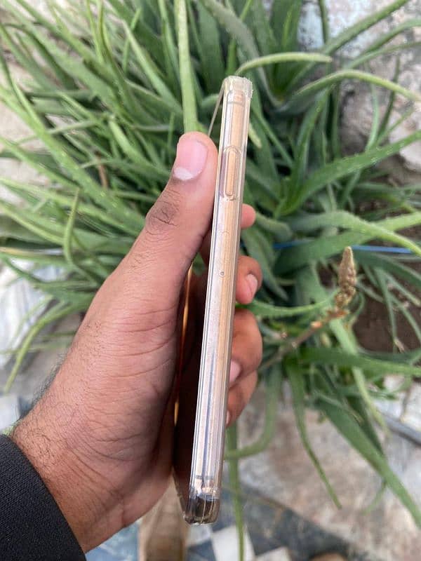 iphone xs max Dual pta 3