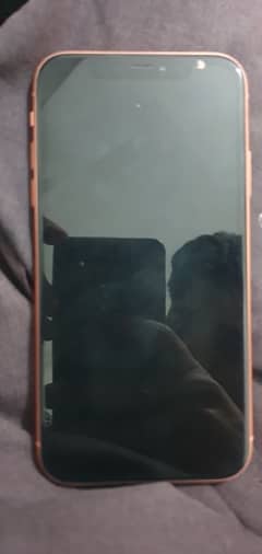 iphone xr 10/10 condition