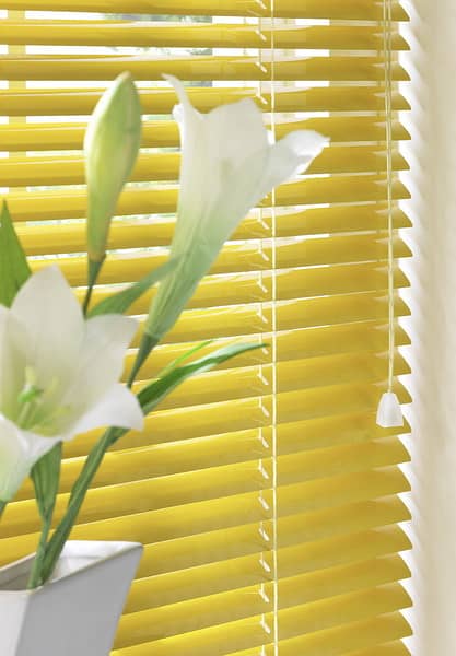 Window Blinds / office blinds / Roller blinds 4