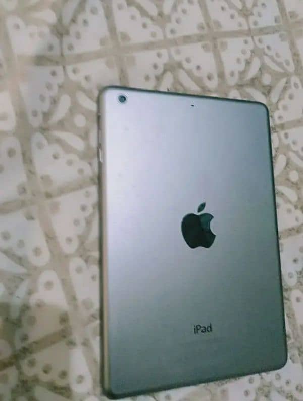 iPad mini 2 0