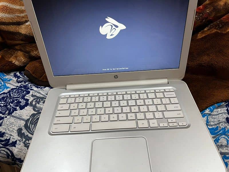 HP Chromebook 14 SMB | Window 10 255gb SSD 2