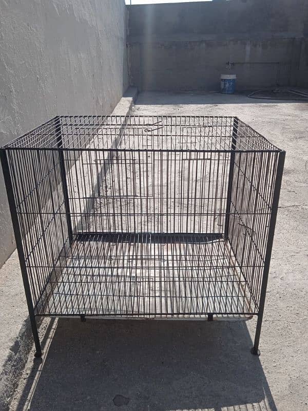 birds cage 1