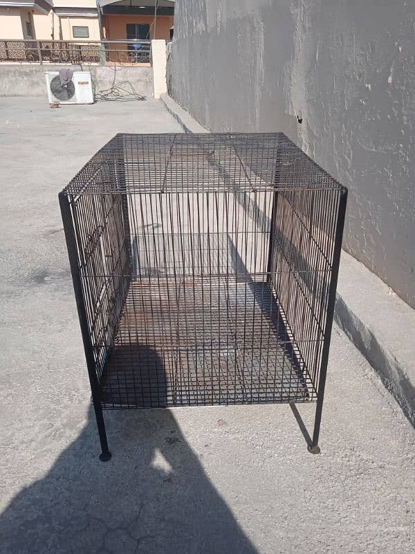 birds cage 2