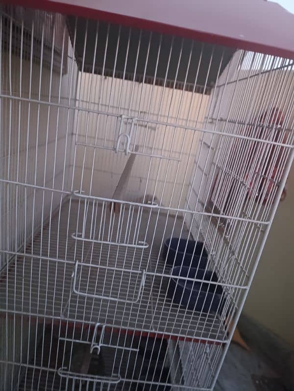 pinjra for birds - good condition cage 2